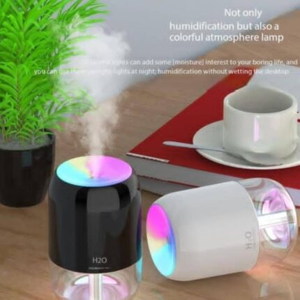 Portable humidifier
